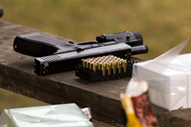 Gun